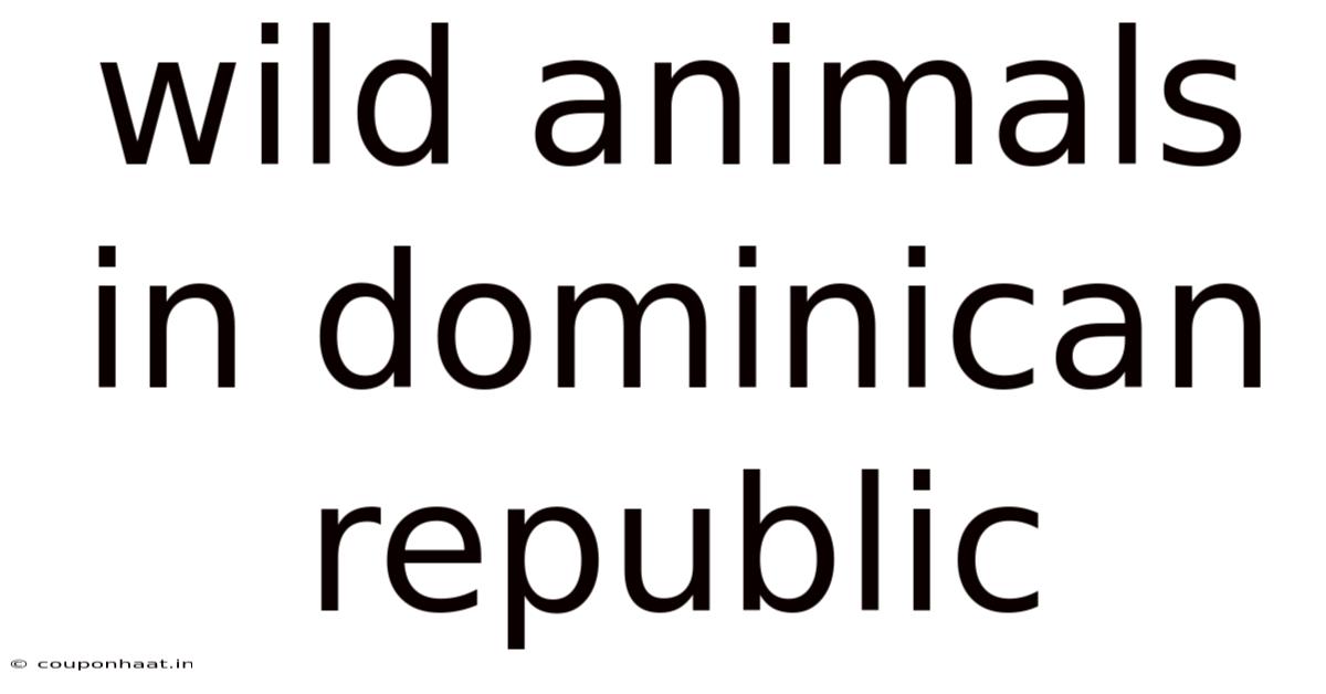 Wild Animals In Dominican Republic