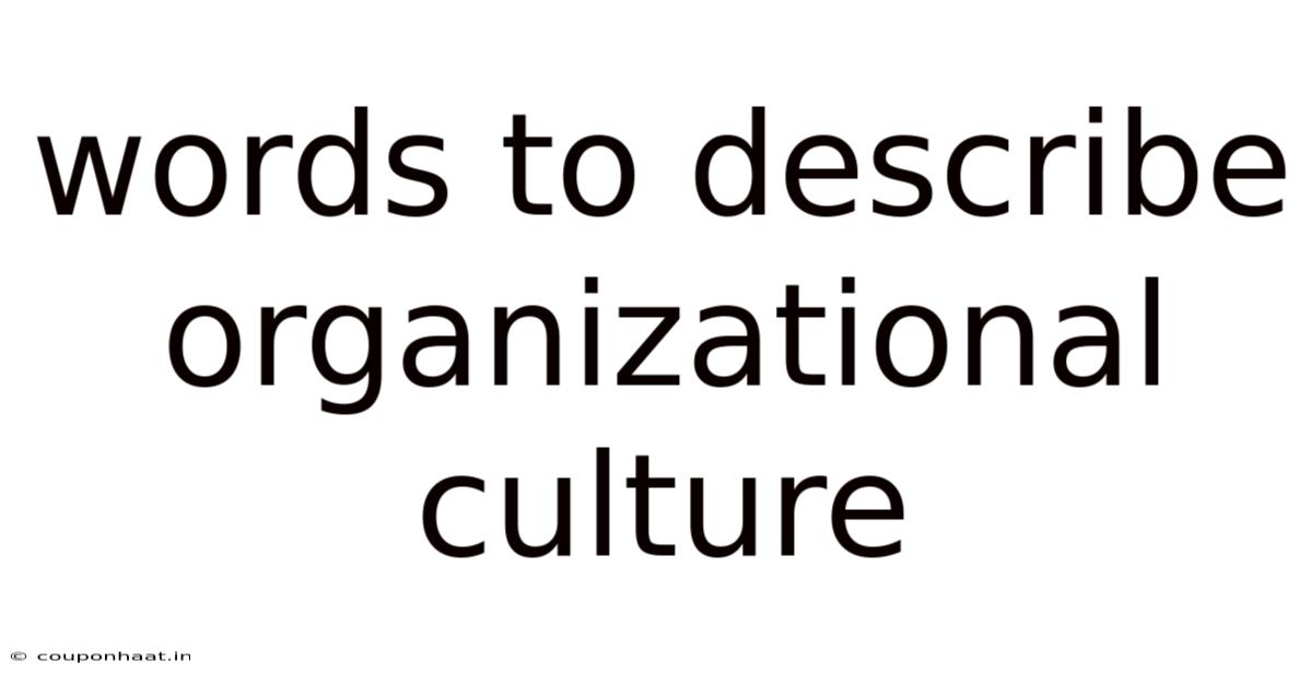 Words To Describe Organizational Culture
