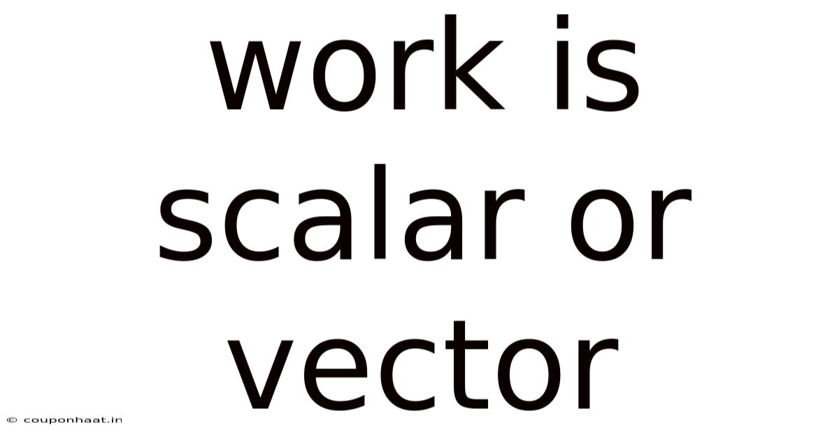 Work Is Scalar Or Vector