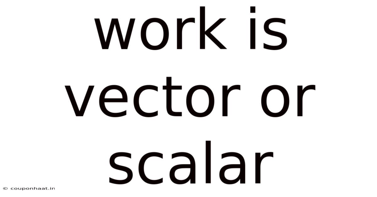 Work Is Vector Or Scalar
